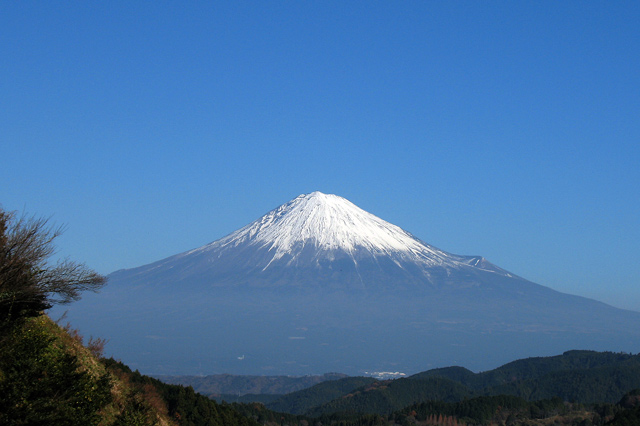 2010-12-12-110816