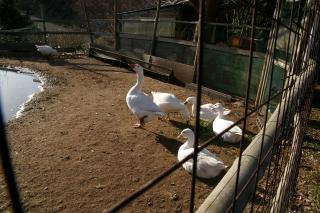 2008-03-01-160321[2]