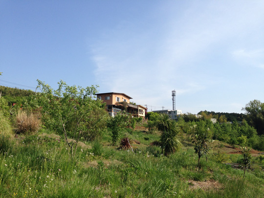 2014-05-04-15.23.25
