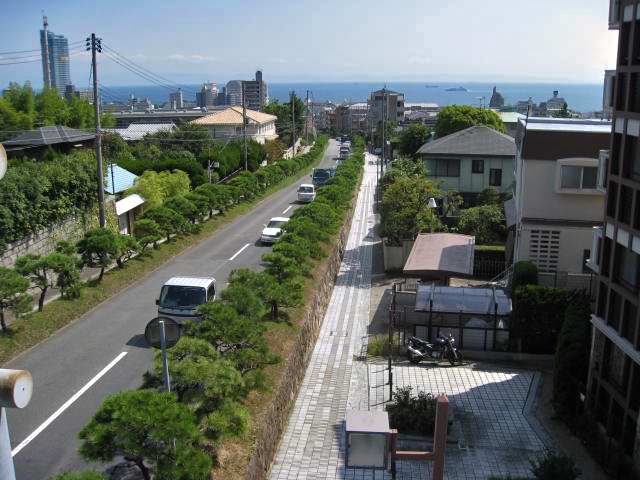 離宮通り