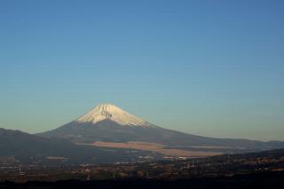 2009-01-01-072054p_resize1