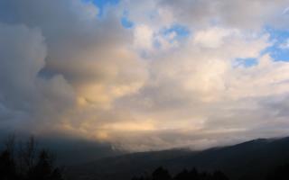 2006-02-02-071712-1.JPG
