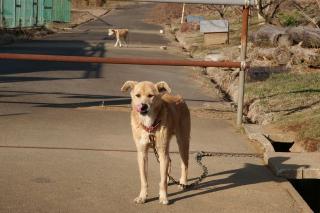 2008-03-01-155735[2]