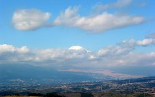 2006-02-02-120332-1[1].jpg