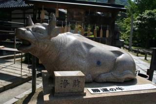 07.5.12 三室戸寺 006