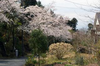 2009-04-04-121657_resize1