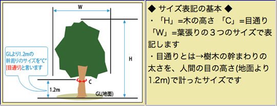 2013-0213目通り