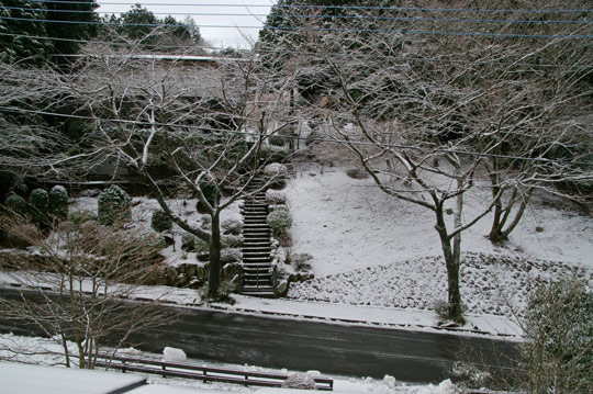 2010-02-02-074313