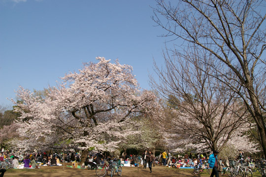2010-04-03-150450
