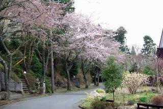 2008-04-04-112427[1]