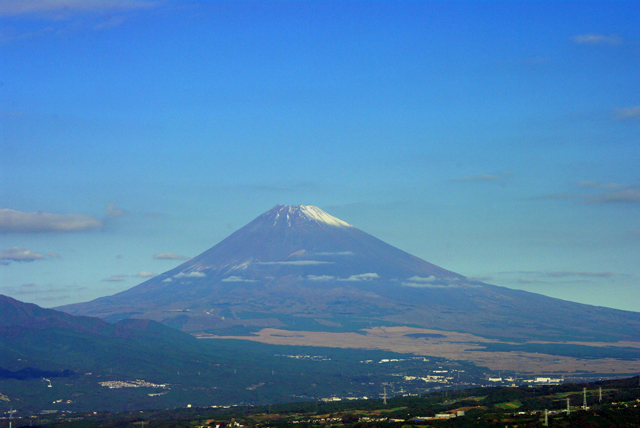 2020-11-11_08-05-39