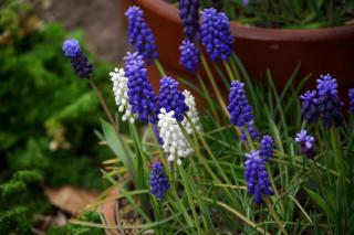 2008-04-04-112753-01[2]
