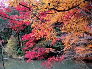 2006.11 浄瑠璃寺 006[2].jpg