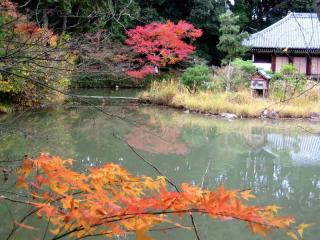 2006.11 浄瑠璃寺 013[2].jpg