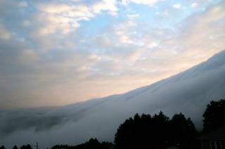 2006-09-09-053804.JPG