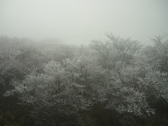 湯布院岳の雪景色