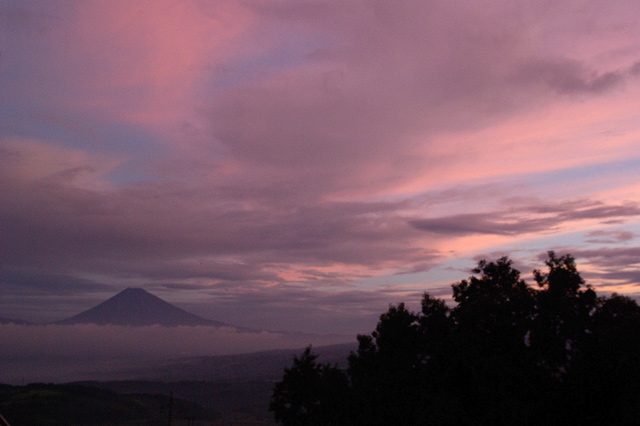 2010-08-08-044437