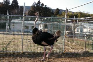 2008-03-01-155032[2]